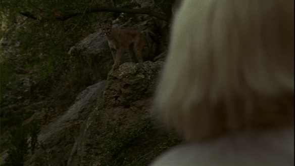 vlcsnap-2013-10-16-10h35m59s155