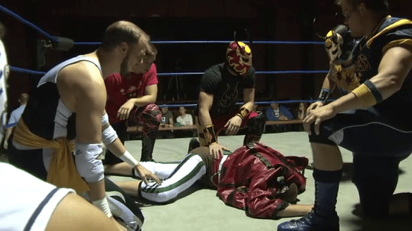 RIP Latvian Proud Oak (2013-2014) You were - Whoa, Peckception!