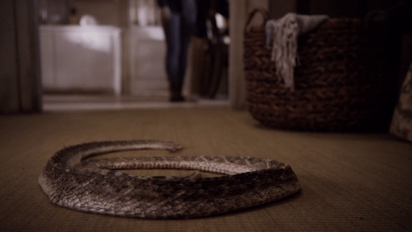 vlcsnap-2015-03-21-22h30m09s0