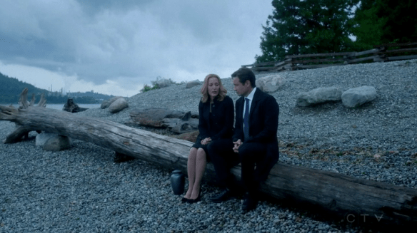 vlcsnap-2016-03-20-09h34m49s519